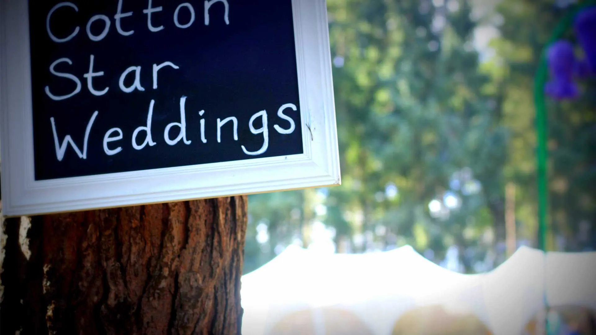 Marquees at Cotton Star Campsite, Bradfield